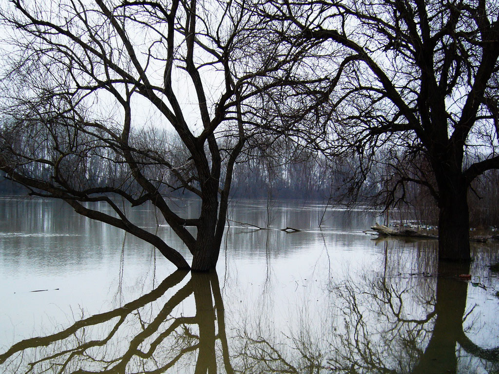 foto vastag 2010
