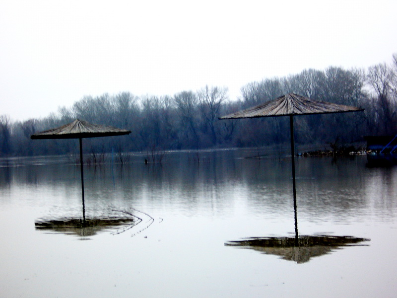 foto vastag 2010