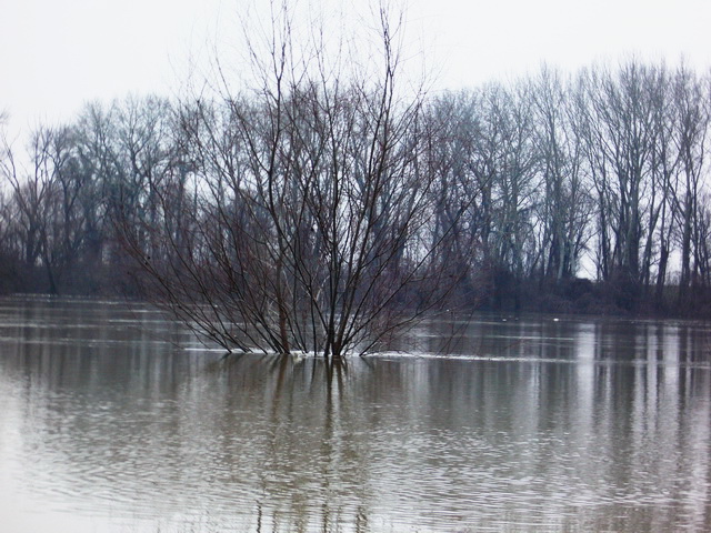 foto vastag 2010