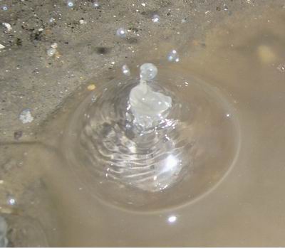 Slike 22. januar fotok