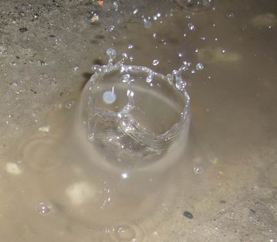 Slike 22. januar fotok