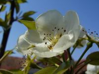 foto vastag
top 2007 color