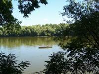 foto vastag
top 2007 color