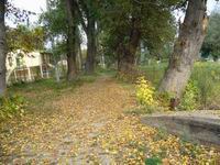 foto vastag
top 2007 color