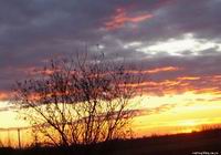 foto vastag
top 2007 color