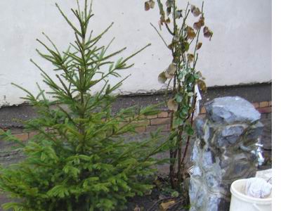 Slike 22. januar fotok