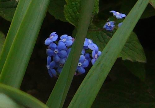 Prolece 2008 Tavasz
vastag