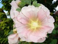 Leto 2007 Nyar
Foto Vastag