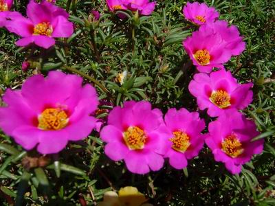 Leto 2007 Nyar
Foto Vastag