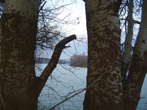 20103-tisa_novb.jpg, 60 KB