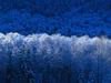 6467-zima.jpg, 2 KB
