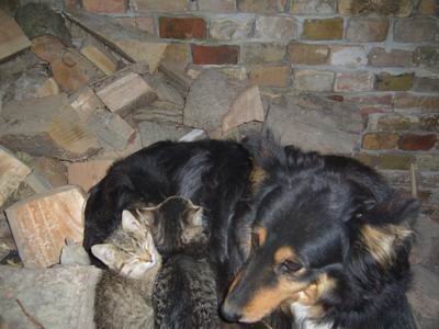 7797-macad.jpg, 37 KB