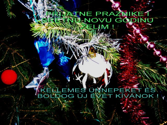 SNG_2011.jpg, 304 KB