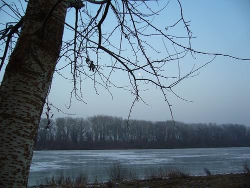 Tisza_jan_a.jpg, 50 KB