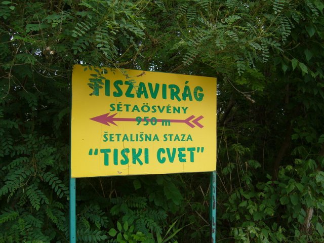 Tiszavirag_2011_0.jpg, 255 KB