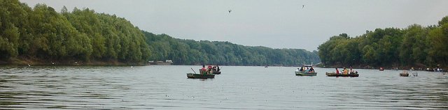 Tiszavirag_2011_3.jpg, 75 KB