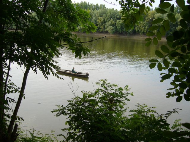 Tiszavirag_2011_4.jpg, 267 KB