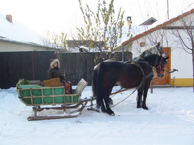 Zima_2009_a.jpg, 183 KB