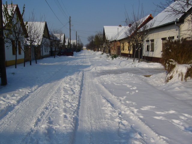 Zima_2009_b.jpg, 207 KB