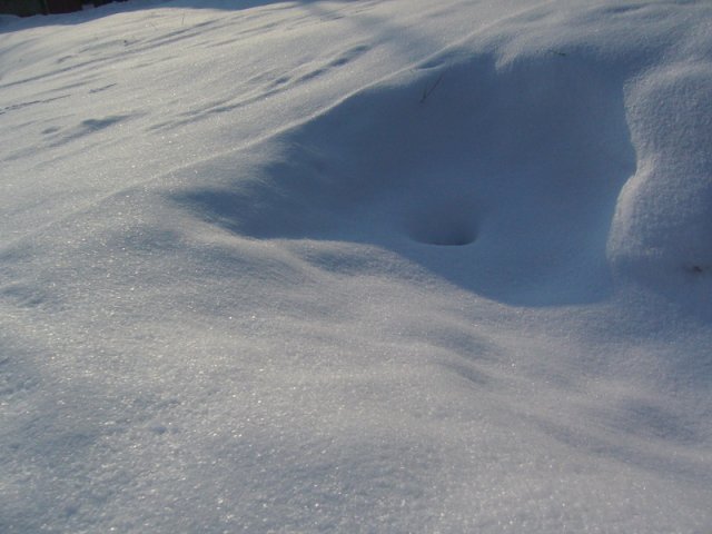 Zima_2009_c.jpg, 176 KB