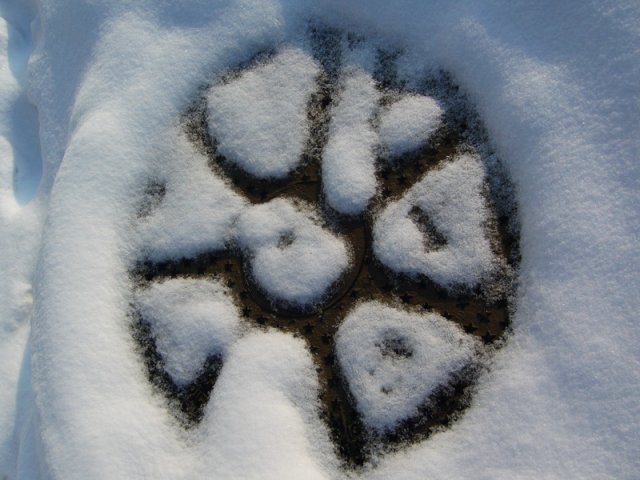 Zima_2009_d.jpg, 203 KB