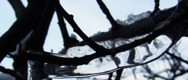Zima_januar_2010_d.jpg, 70 KB