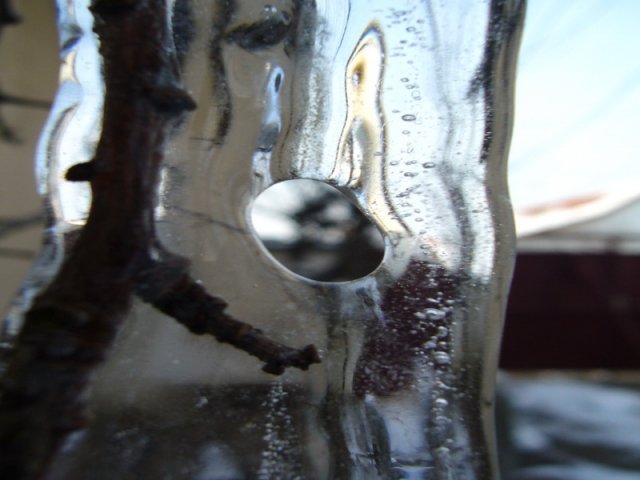 Zima_januar_2010_e.jpg, 143 KB