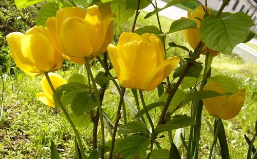 april_2010_3.jpg, 111 KB