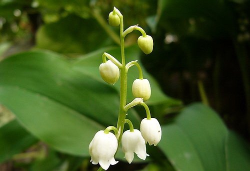april_2010_4.jpg, 63 KB