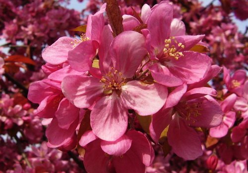 april_2010_6.jpg, 95 KB