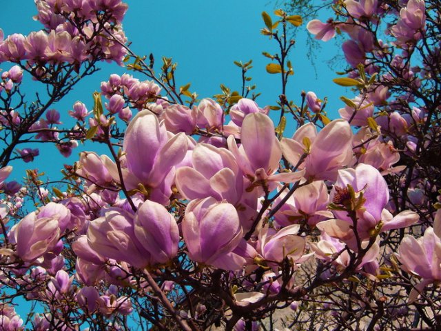 april_razglednice_2010_2.jpg, 259 KB