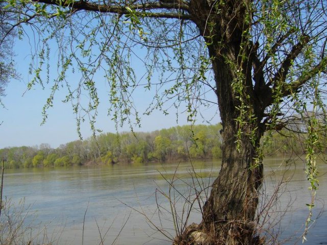 april_tisa_2009_a.jpg, 149 KB