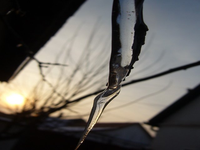 februar_2010_4.jpg, 80 KB