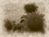 fek4a.jpg, 6 KB