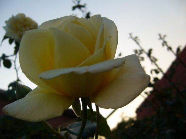 kertek_baste 005.jpg, 41 KB