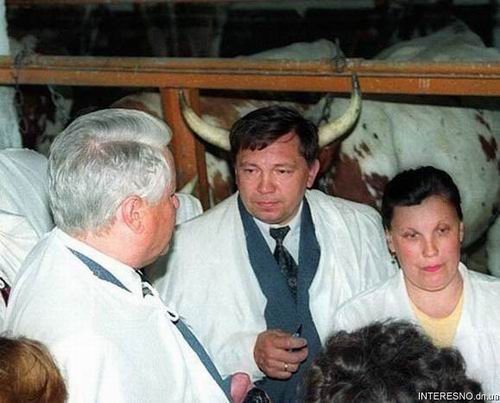 nov_god_slika.jpg, 37 KB