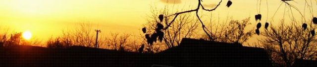 novembar_2009-a.jpg, 23 KB