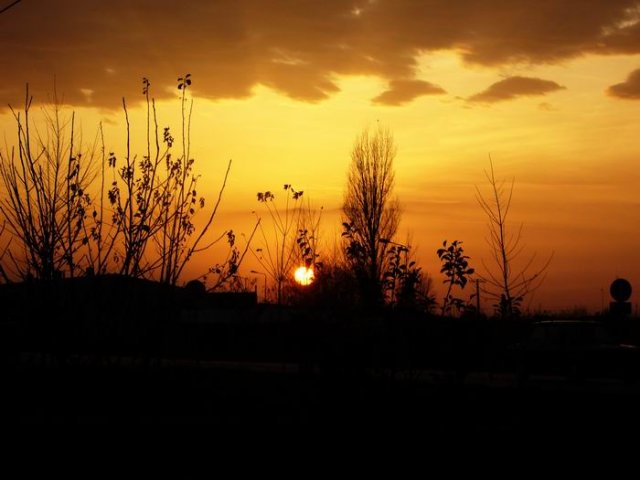 novembar_2009-b.jpg, 51 KB