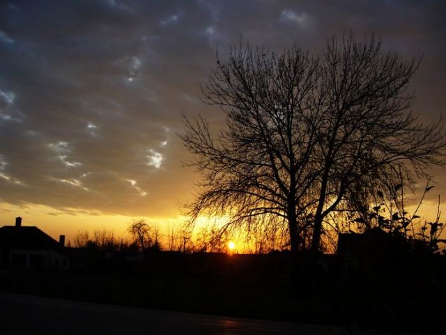 novembar_2009-c.jpg, 70 KB
