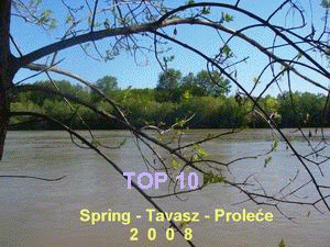 prolece_2008.gif, 341 KB