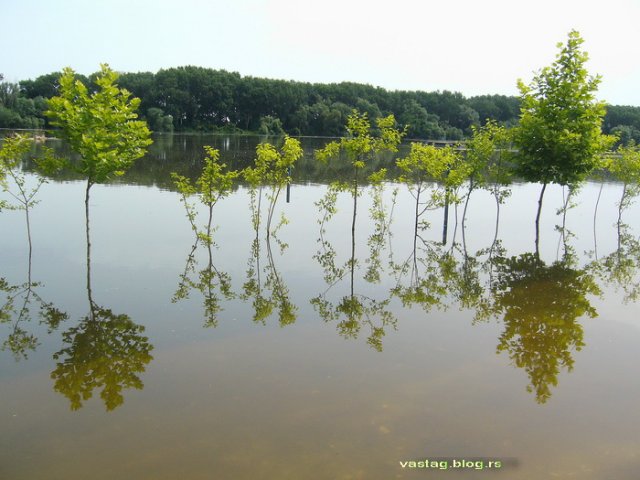 reka_tisa_2010_1.jpg, 164 KB