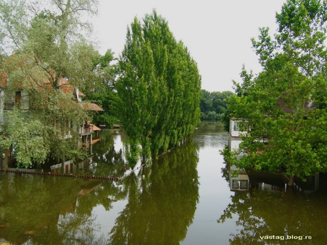 reka_tisa_2010_2.jpg, 225 KB