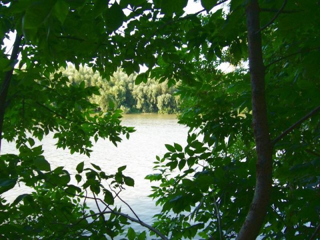 tisa_2009_d.jpg, 131 KB