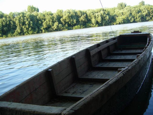 tisa_2009_e.jpg, 106 KB
