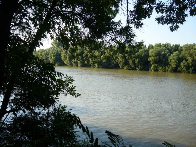 tisa_2009_f.jpg, 148 KB
