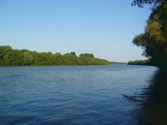 tisa_2009_g.jpg, 70 KB