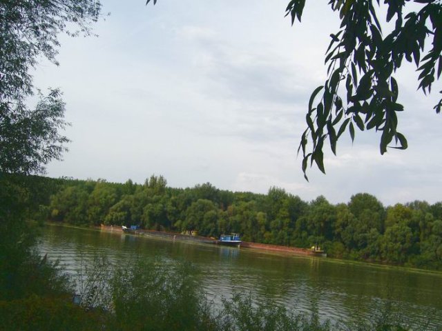 tisza_sept_2009_b.jpg, 80 KB