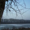 foto vastag 2009