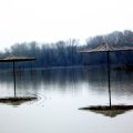 foto vastag 2010