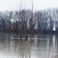 foto vastag 2010